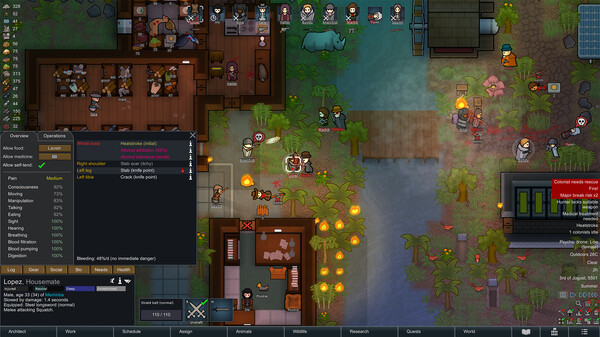 RimWorld Beginner Colony Stability Checklist